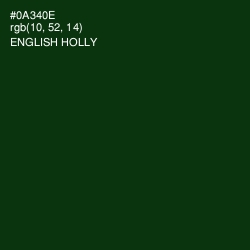 #0A340E - English Holly Color Image